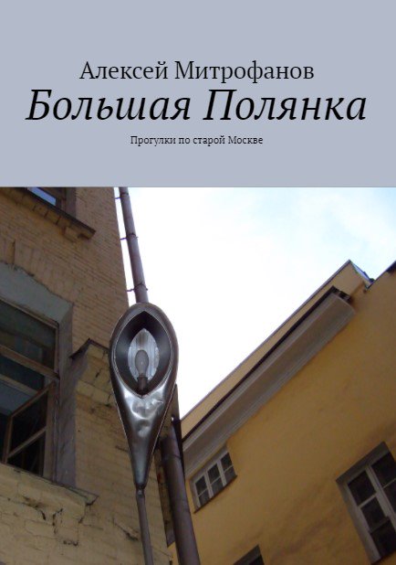 Обложка книги "Большая Полянка".