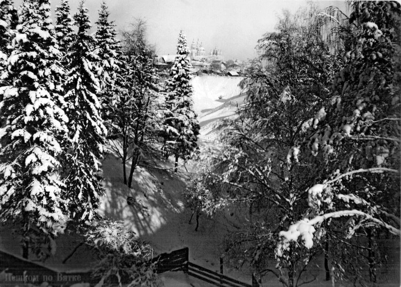 Зимний лес.