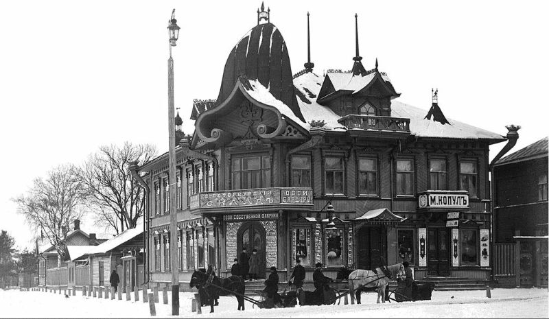 Дом-носорог.